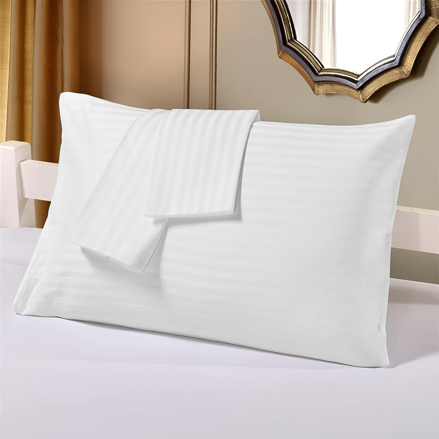 Pillow & Cushion